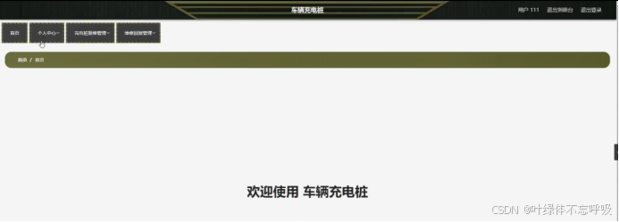 基于Java+Springboot+Mysql的新能源汽车充电桩管理系统-创享日记