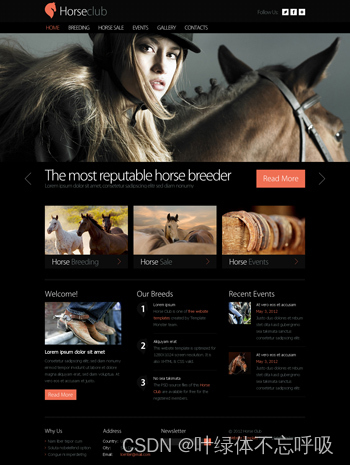 36个精美网页完整网站网页完整源码HTML+CSS+JS网页设计课程设计-创享日记