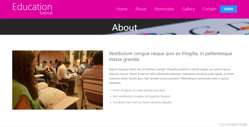 班级网站网页-前端网页技术精美完整源码HTML+CSS+JS-创享日记