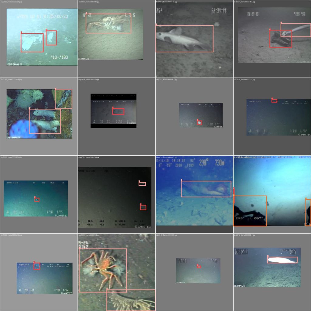 基于深度学习YOLOv8的海底垃圾检测海洋垃圾识别海洋生物检测系统设计-创享日记 基于深度学习YOLOv8的海底垃圾检测海洋垃圾识别海洋生物检测系统设计-创享日记