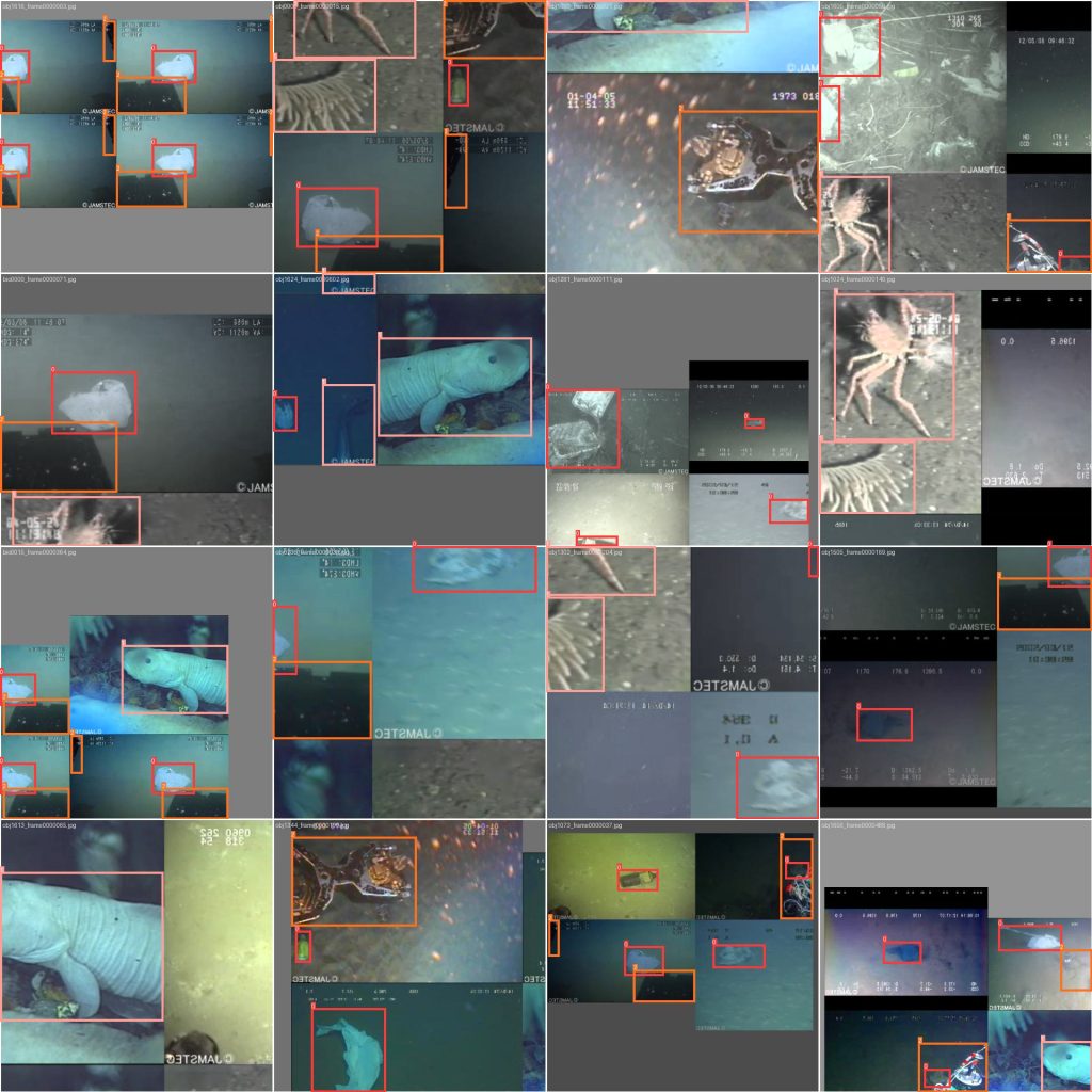 基于深度学习YOLOv8的海底垃圾检测海洋垃圾识别海洋生物检测系统设计-创享日记 基于深度学习YOLOv8的海底垃圾检测海洋垃圾识别海洋生物检测系统设计-创享日记