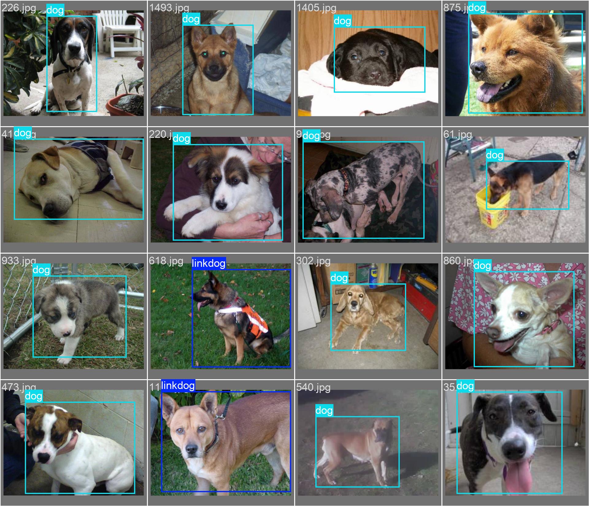 基于深度学习YOLOv8的犬类拴绳检测小狗拴绳识别数据集-创享日记